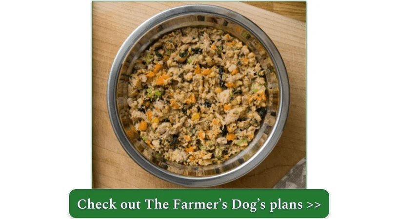 The Farmer's Dog Turkey recipe