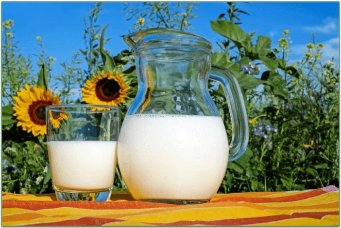 Raw milk can be dangerous for your health