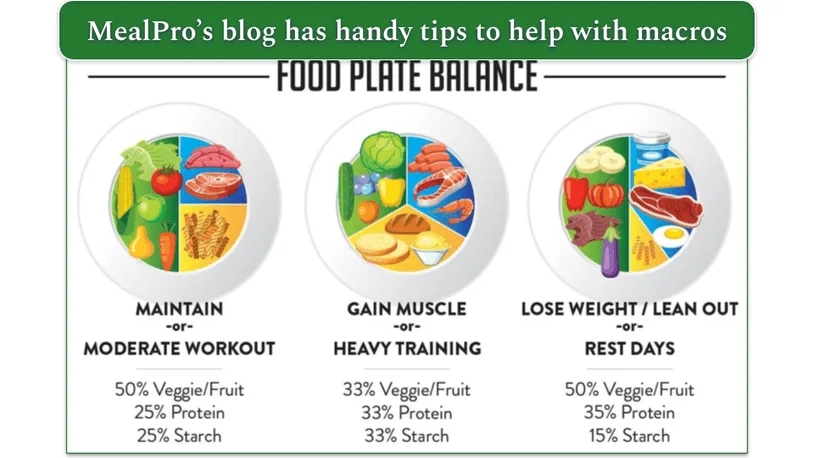 Image of food plate balance from MealPro's blog