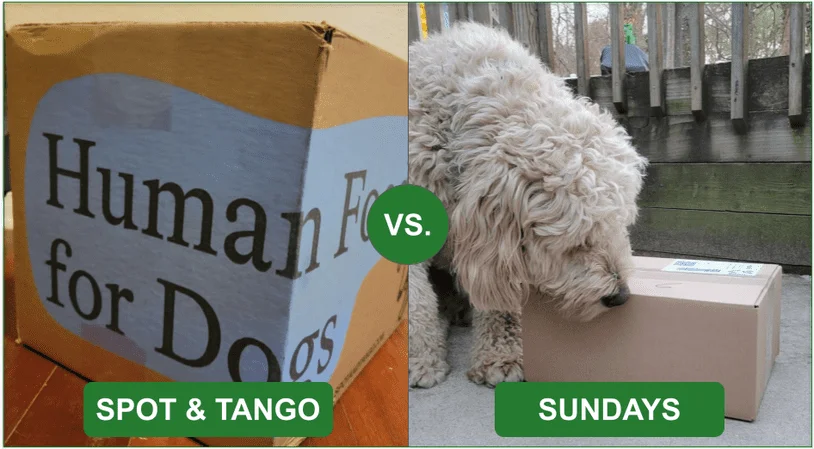 Comparison image of Spot & Tango's delivery box compared to Sunday's delivery box
