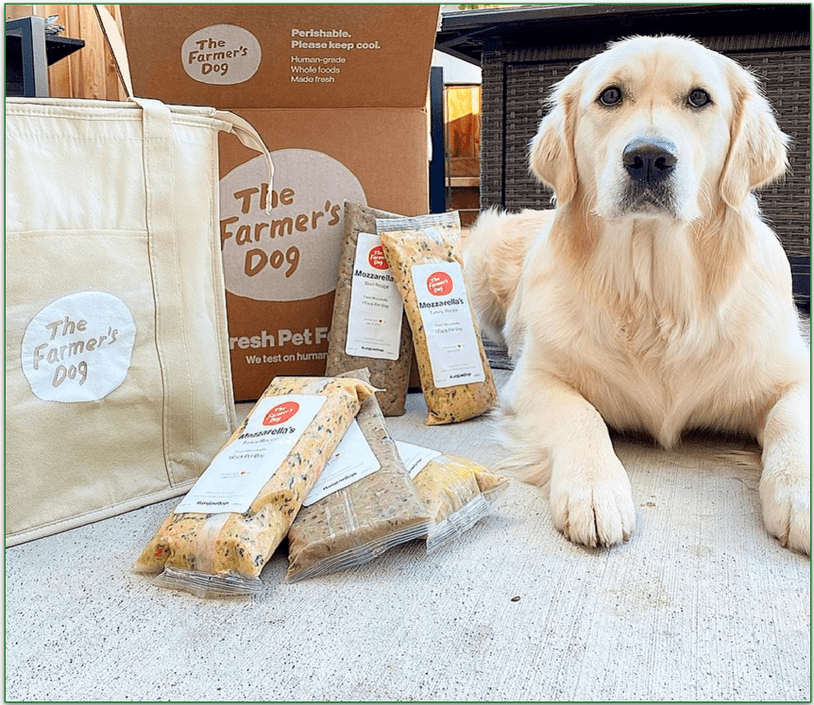 An image of a golden retriever sitting by a The Farmer's Dog delivery box.