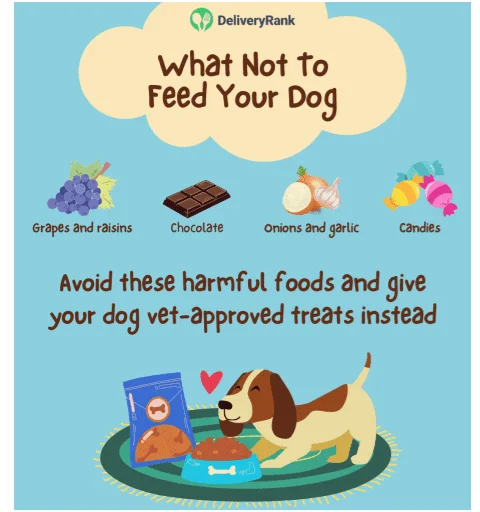 Infographic with examples of toxic foods for dogs