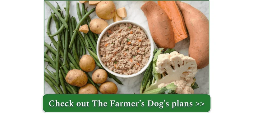 A bowl of The Farmer's Dog chicken recipe surrounded by vegetables