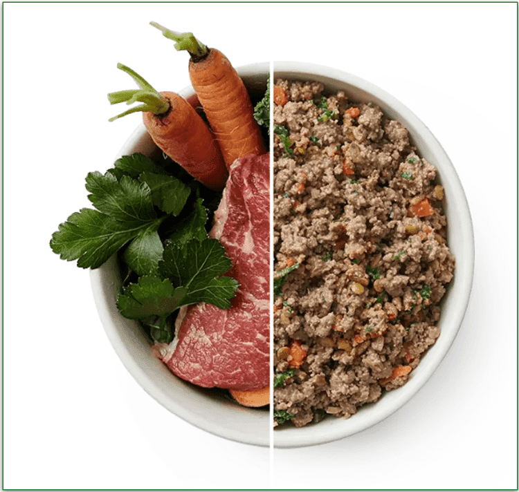 The Farmer's Dog features fresh, human-grade recipes