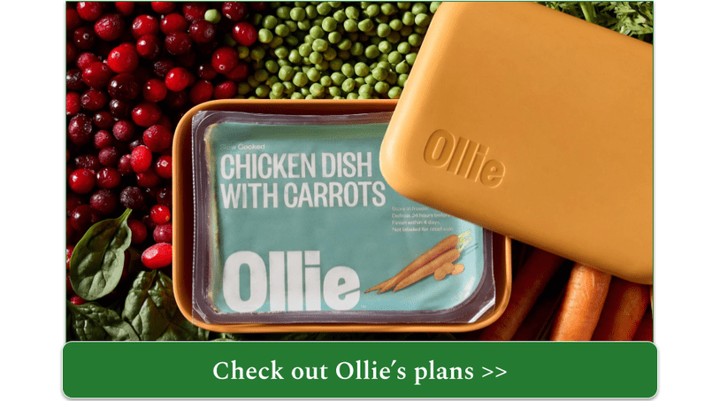 Ollie's fresh chicken meal stored in orange puptainer