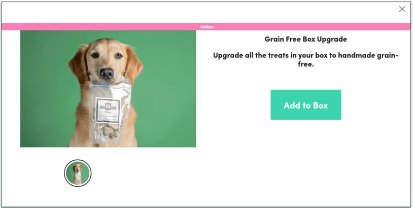 Upgrade to grain-free for homemade treats