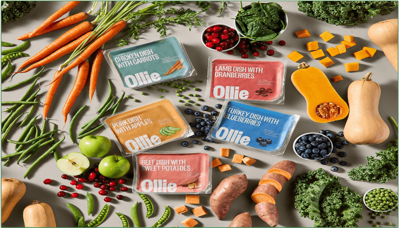 Selection of fresh Ollie meals surrounded by fresh food