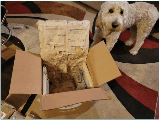 Photo of a goldendoodle stood next to an open delivery box showing the dry ice and insulation