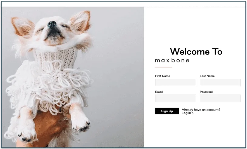 Step 2. Provide name, email, and a password