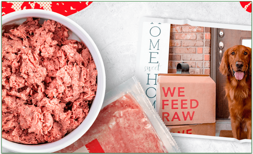 a bowl of Beef We Feed Raw beside a picture of an Irish Setter.