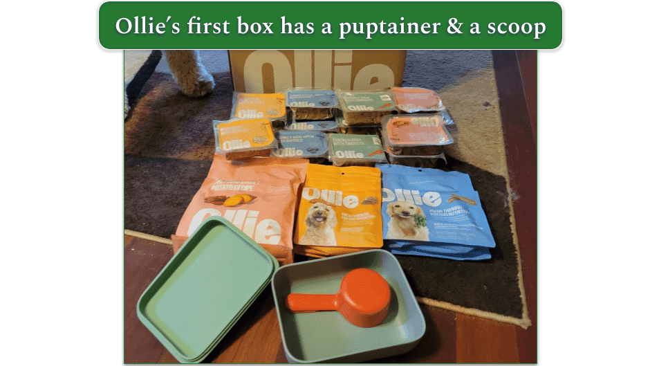 The content of my first box from Ollie