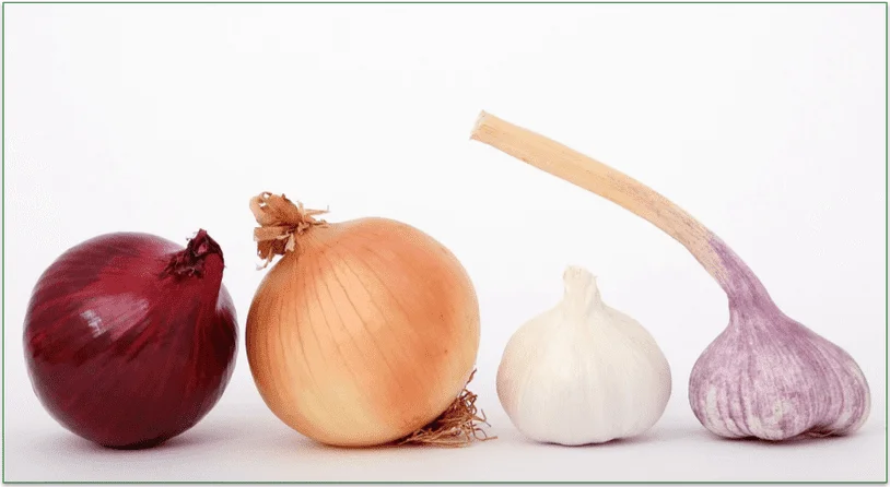Onion and garlic bulbs