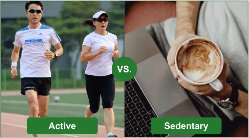 Visual comparison between the active and sedentary lifestyles.