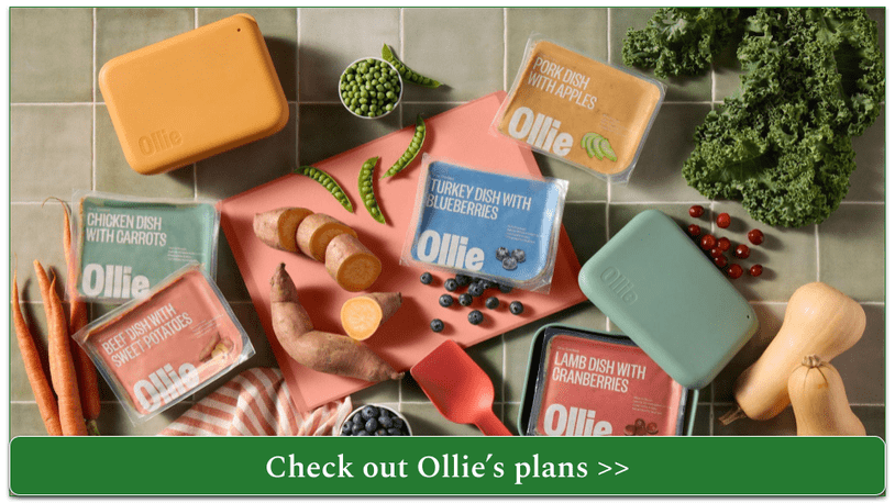 Selection of fresh Ollie meals
