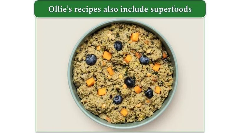 Image of a bowl of Ollie's Fresh Turkey with Blueberries recipe with carrots and blueberries mixed in