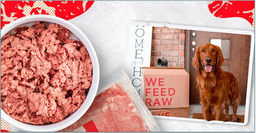 We Feed Raw's beef recipe