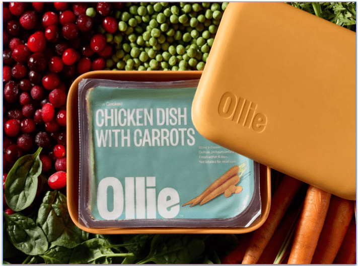 Ollie's fresh chicken meal stored in orange puptainer