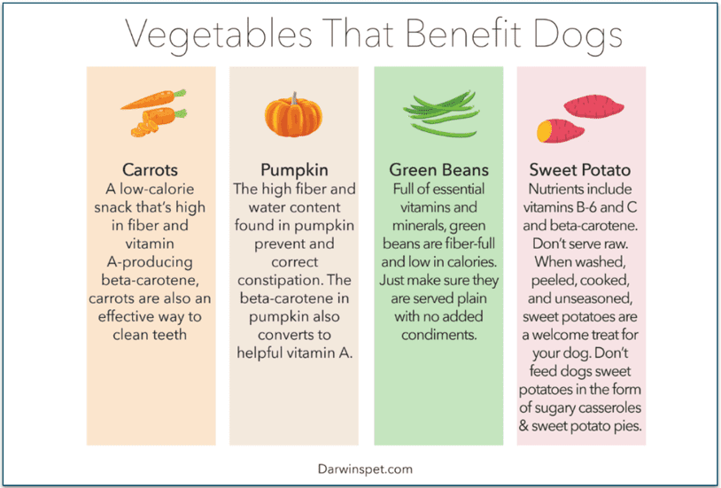 Some nutritious veggies used in Darwin’s recipes