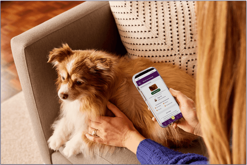 picture of someone holding their phone with their dog in the background