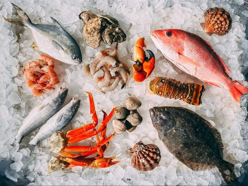 A selection of fresh fish and seafood on ice