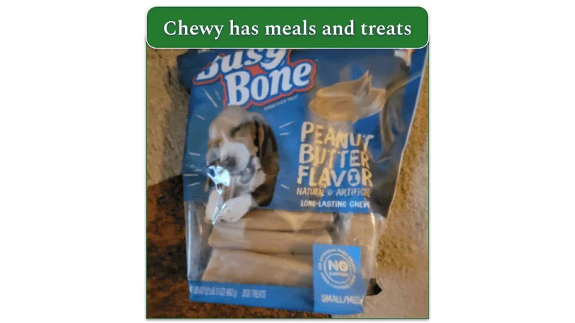 Chewy's Busy Bone chews