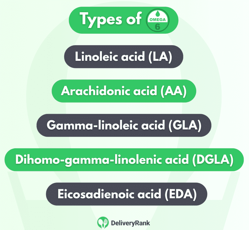 An infographic showing the various primary types of omega-6 fatty acids.