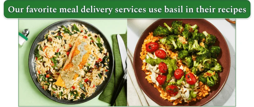 Left: Salmon with basil pistou from Green Chef. Right: Tomato Basil Chicken risotto with parmesan broccoli from Factor