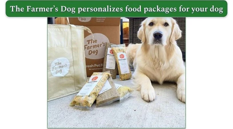 An image of a golden retriever sitting by a The Farmer's Dog delivery box.