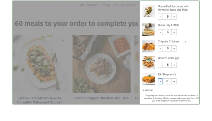 A screenshot of the Ice Age Meals shopping cart