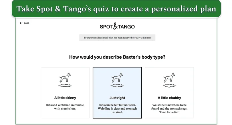 Screenshot of Spot & Tango’s quiz with a question on body type