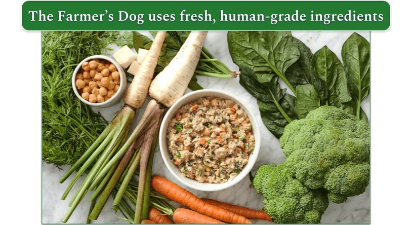 The Farmer's Dog meal in a bowl surrounded by fresh ingredients