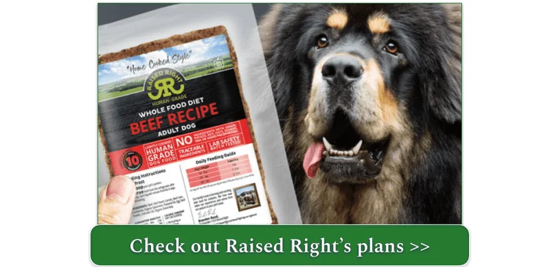 A Tibetan Mastiff and a pack of Raised Right Whole Food Diet Beef Recipe