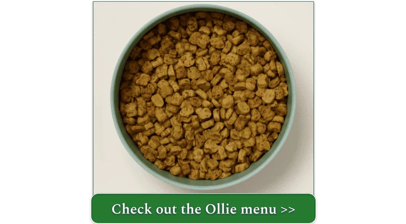 Ollie's Baked Chicken