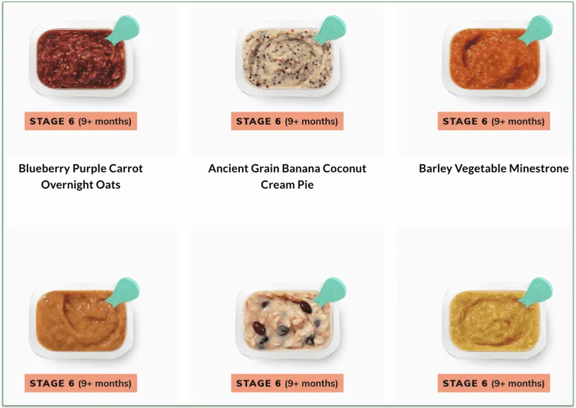 Babyblends for babies aged 9+ months