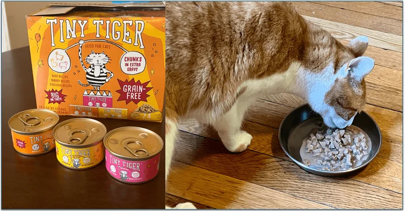 photo of Tiny Tiger grain-free canned food and a photo of an orange and white cat eating the served food from a bowl