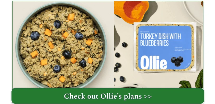 Ollie's Turkey Dish with Blueberries