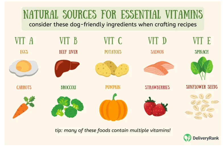 infographic with natural sources of many vitamins