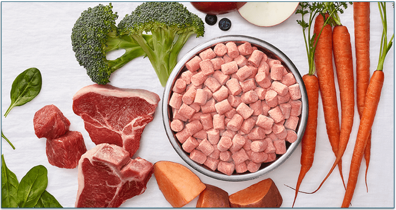 A bowl of Instinct's raw food surrounded by its fresh ingredients