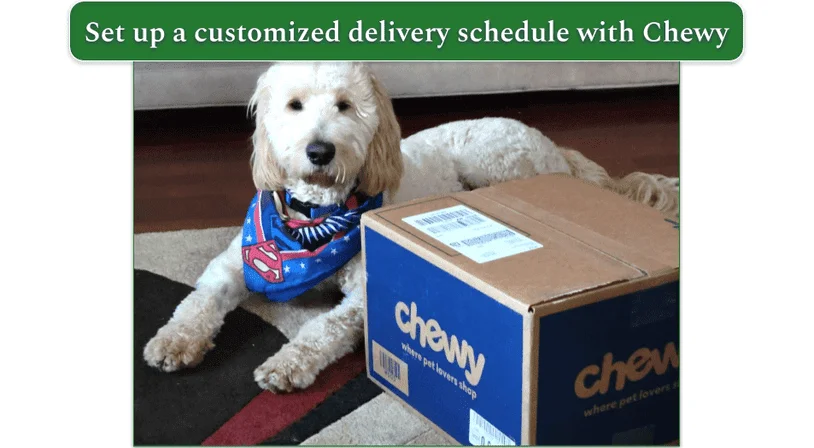 My dog, Baxter, next to a Chewy box