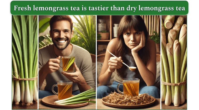 An image of a smiling man drinking tea made from fresh lemongrass and a dissatisfied woman drinking tea made from dried lemongrass.
