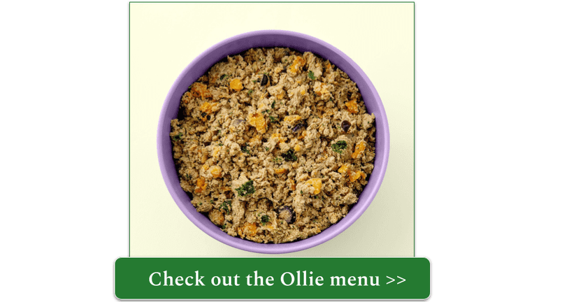 Ollie fresh turkey meal in purple bowl