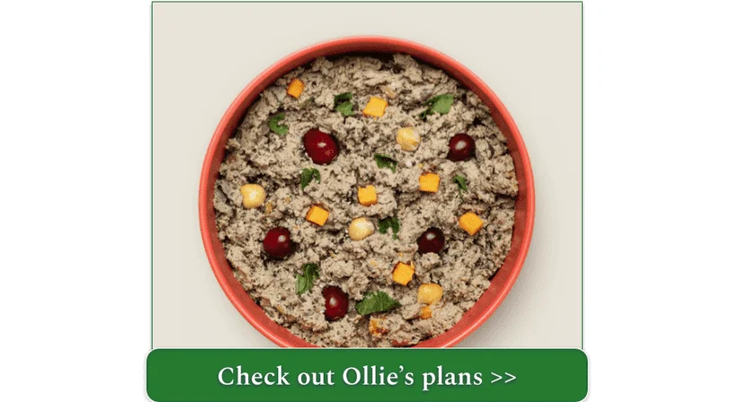 Ollie's fresh lamb recipe