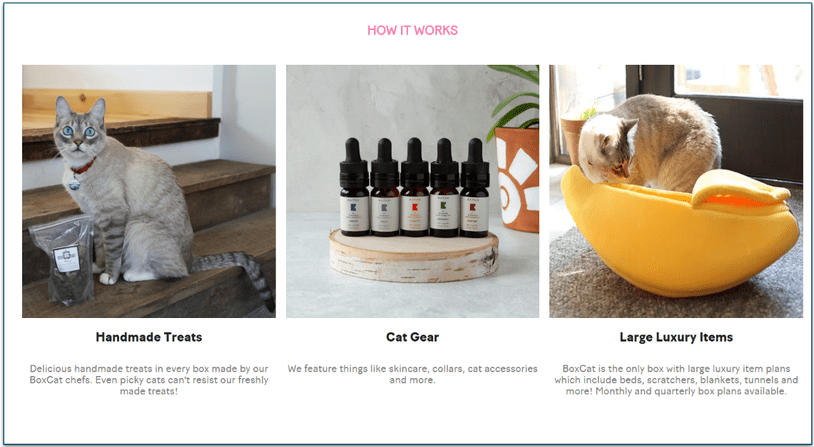 BoxCat treats, cat gear, and large luxury items