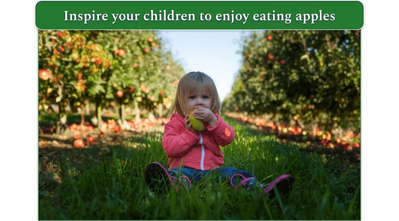 Image of a child in an orchard eating an apple