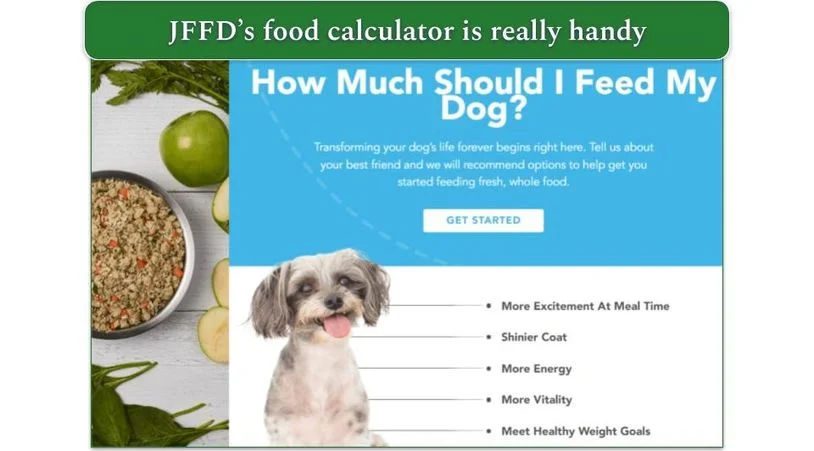 Ordering with Ollie is user-friendly and tailored. By simply filling out a quiz about your dog