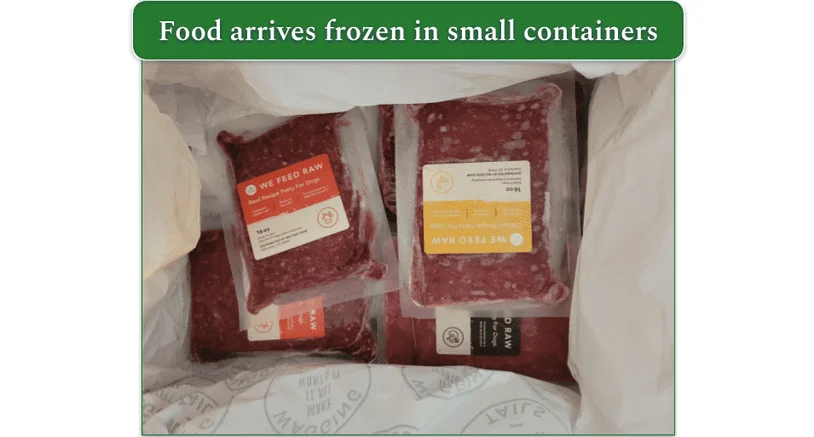 Our reviewers delivery box showing the We Feed Raw food containers packed and frozen