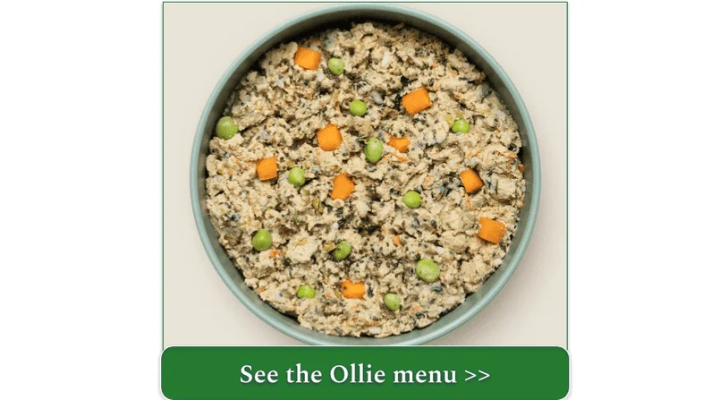 Ollie's fresh chicken recipe