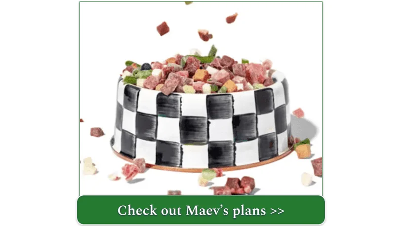 Image with one of Maev's Freeze Dry recipes in a bowl