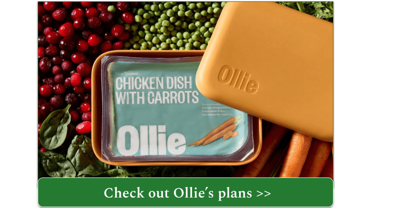 Ollie's fresh chicken meal stored in orange puptainer