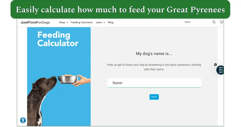 Screenshot of the first page of JustFoodForDog’s feeding calculator
